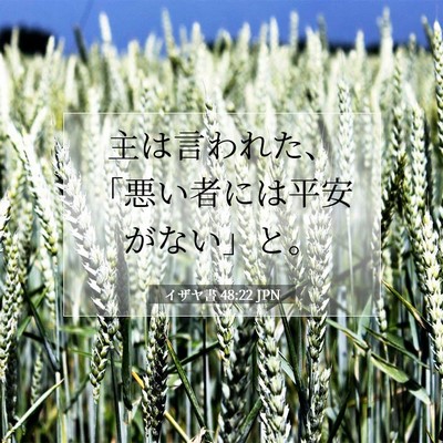 Picture 07 - イザヤ書 48:22 JPN - 主は言われた、「悪い者には平安が - Bible Verse Picture