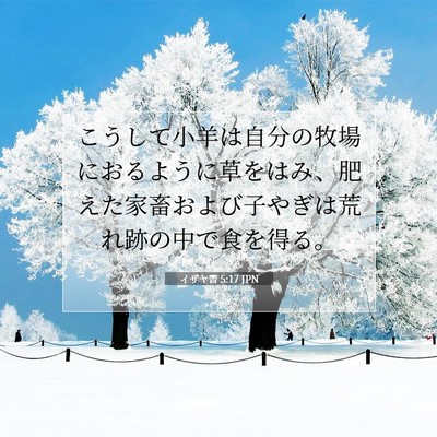 Picture 07 - イザヤ書 5:17 JPN - こうして小羊は自分の牧場におるよ - Bible Verse Picture
