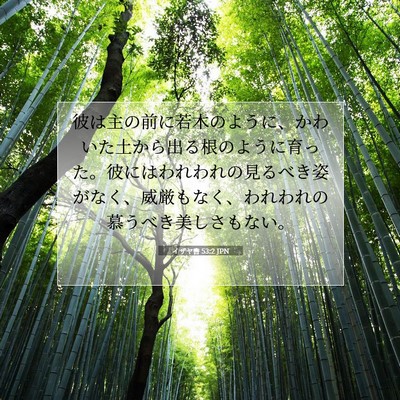 Picture 07 - イザヤ書 53:2 JPN - 彼は主の前に若木のように、かわい - Bible Verse Picture