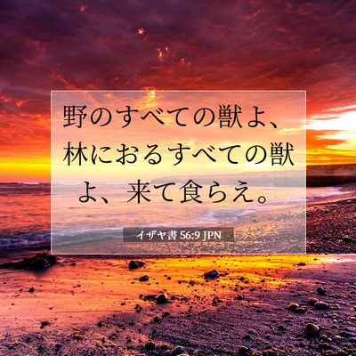 Picture 07 - イザヤ書 56:9 JPN - 野のすべての獣よ、林におるすべて - Bible Verse Picture