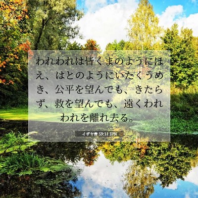 Picture 07 - イザヤ書 59:11 JPN - われわれは皆くまのようにほえ、は - Bible Verse Picture