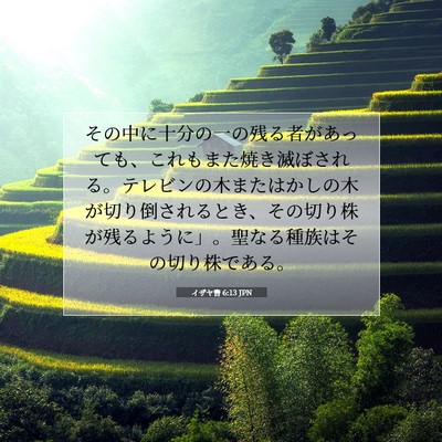 Picture 07 - イザヤ書 6:13 JPN - その中に十分の一の残る者があって - Bible Verse Picture