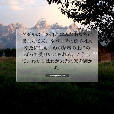 Picture 07 - イザヤ書 60:7 JPN - ケダルの羊の群れはみなあなたに集 - Bible Verse Picture