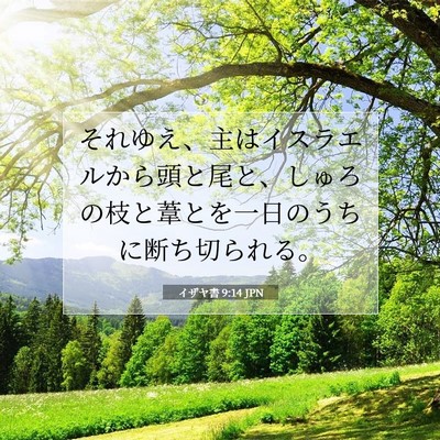Picture 07 - イザヤ書 9:14 JPN - それゆえ、主はイスラエルから頭と - Bible Verse Picture