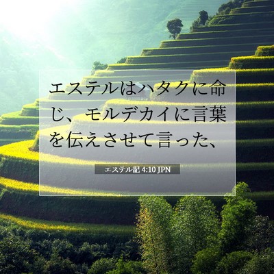 Picture 07 - エステル記 4:10 JPN - エステルはハタクに命じ、モルデカ - Bible Verse Picture