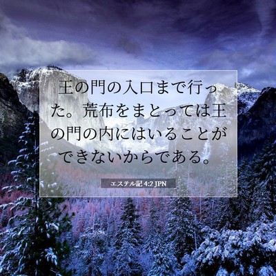 Picture 07 - エステル記 4:2 JPN - 王の門の入口まで行った。荒布をま - Bible Verse Picture