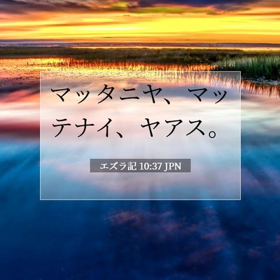 Picture 07 - エズラ記 10:37 JPN - マッタニヤ、マッテナイ、ヤアス。 - Bible Verse Picture