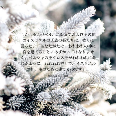 Picture 07 - エズラ記 4:3 JPN - しかしゼルバベル、エシュアおよび - Bible Verse Picture