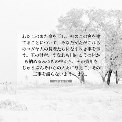 Picture 07 - エズラ記 6:8 JPN - わたしはまた命を下し、神のこの宮 - Bible Verse Picture