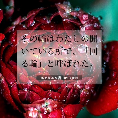 Picture 07 - エゼキエル書 10:13 JPN - その輪はわたしの聞いている所で、 - Bible Verse Picture