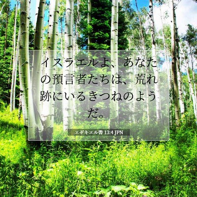 Picture 07 - エゼキエル書 13:4 JPN - イスラエルよ、あなたの預言者たち - Bible Verse Picture