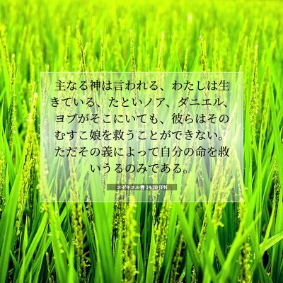 Picture 07 - エゼキエル書 14:20 JPN - 主なる神は言われる、わたしは生き - Bible Verse Picture