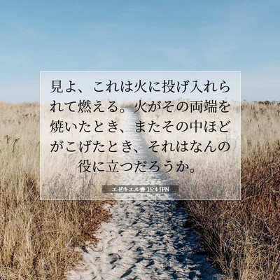Picture 07 - エゼキエル書 15:4 JPN - 見よ、これは火に投げ入れられて燃 - Bible Verse Picture