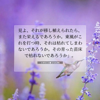 Picture 07 - エゼキエル書 17:10 JPN - 見よ、それが移し植えられたら、ま - Bible Verse Picture