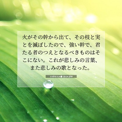 Picture 07 - エゼキエル書 19:14 JPN - 火がその幹から出て、その枝と実と - Bible Verse Picture