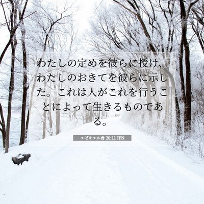 Picture 07 - エゼキエル書 20:11 JPN - わたしの定めを彼らに授け、わたし - Bible Verse Picture