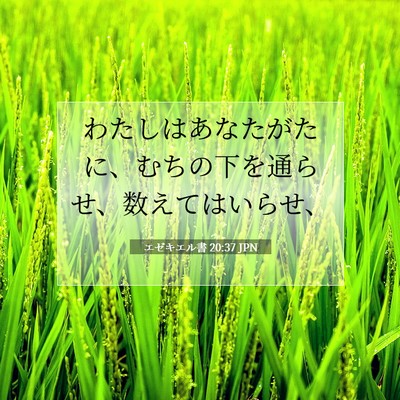 Picture 07 - エゼキエル書 20:37 JPN - わたしはあなたがたに、むちの下を - Bible Verse Picture