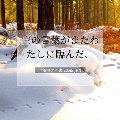 Picture 07 - エゼキエル書 20:45 JPN - 主の言葉がまたわたしに臨んだ、 - Bible Verse Picture