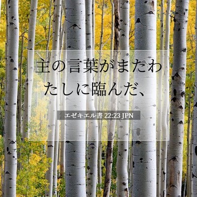 Picture 07 - エゼキエル書 22:23 JPN - 主の言葉がまたわたしに臨んだ、 - Bible Verse Picture