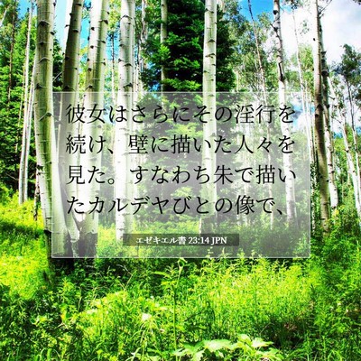 Picture 07 - エゼキエル書 23:14 JPN - 彼女はさらにその淫行を続け、壁に - Bible Verse Picture
