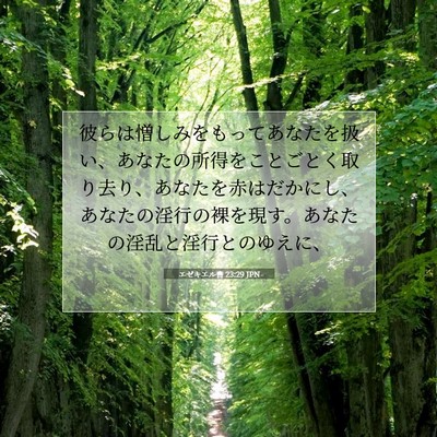 Picture 07 - エゼキエル書 23:29 JPN - 彼らは憎しみをもってあなたを扱い - Bible Verse Picture