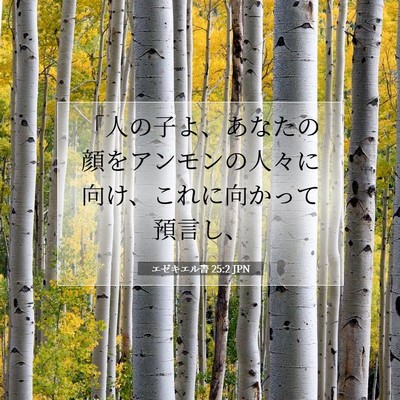 Picture 07 - エゼキエル書 25:2 JPN - 「人の子よ、あなたの顔をアンモン - Bible Verse Picture