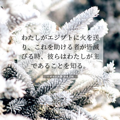 Picture 07 - エゼキエル書 30:8 JPN - わたしがエジプトに火を送り、これ - Bible Verse Picture