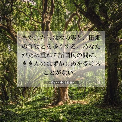 Picture 07 - エゼキエル書 36:30 JPN - またわたしは木の実と、田畑の作物 - Bible Verse Picture