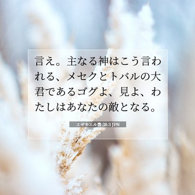 Picture 07 - エゼキエル書 38:3 JPN - 言え。主なる神はこう言われる、メ - Bible Verse Picture