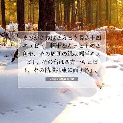 Picture 07 - エゼキエル書 43:17 JPN - そのかさねは四方とも長さ十四キュ - Bible Verse Picture