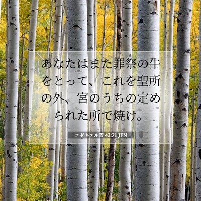 Picture 07 - エゼキエル書 43:21 JPN - あなたはまた罪祭の牛をとって、こ - Bible Verse Picture