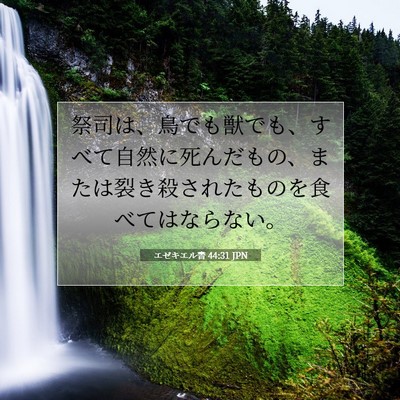 Picture 07 - エゼキエル書 44:31 JPN - 祭司は、鳥でも獣でも、すべて自然 - Bible Verse Picture