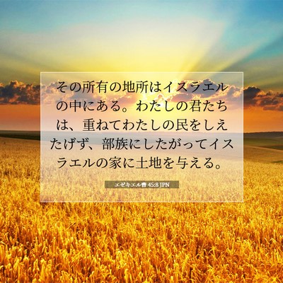 Picture 07 - エゼキエル書 45:8 JPN - その所有の地所はイスラエルの中に - Bible Verse Picture