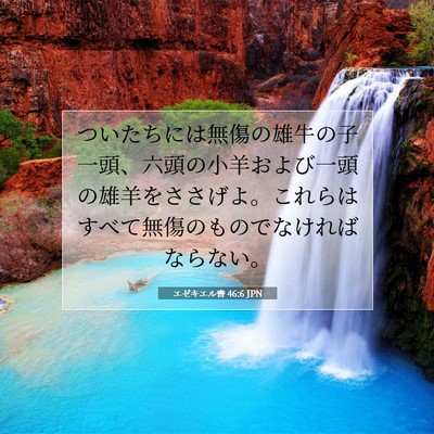 Picture 07 - エゼキエル書 46:6 JPN - ついたちには無傷の雄牛の子一頭、 - Bible Verse Picture