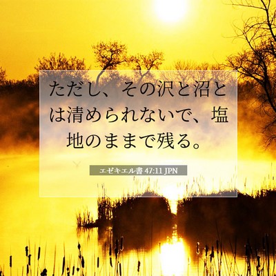 Picture 07 - エゼキエル書 47:11 JPN - ただし、その沢と沼とは清められな - Bible Verse Picture