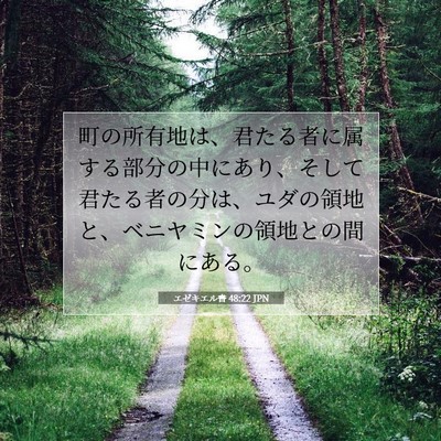 Picture 07 - エゼキエル書 48:22 JPN - 町の所有地は、君たる者に属する部 - Bible Verse Picture