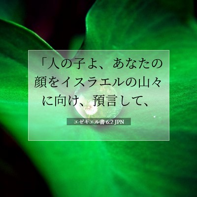 Picture 07 - エゼキエル書 6:2 JPN - 「人の子よ、あなたの顔をイスラエ - Bible Verse Picture