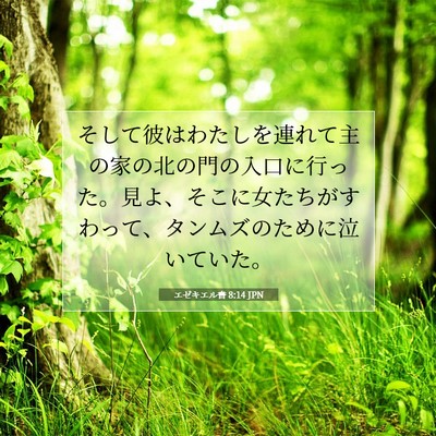 Picture 07 - エゼキエル書 8:14 JPN - そして彼はわたしを連れて主の家の - Bible Verse Picture