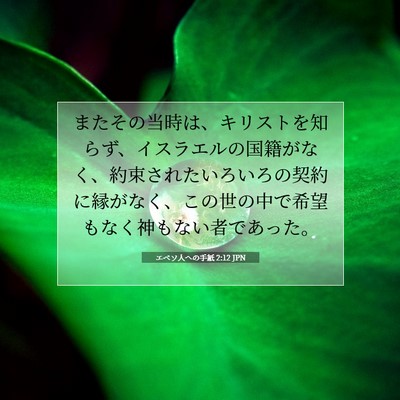 Picture 07 - エペソ人への手紙 2:12 JPN - またその当時は、キリストを知らず - Bible Verse Picture