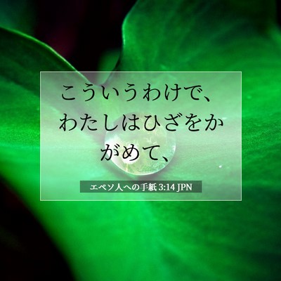 Picture 07 - エペソ人への手紙 3:14 JPN - こういうわけで、わたしはひざをか - Bible Verse Picture