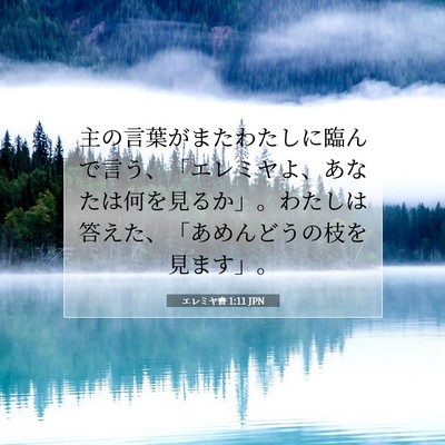 Picture 07 - エレミヤ書 1:11 JPN - 主の言葉がまたわたしに臨んで言う - Bible Verse Picture