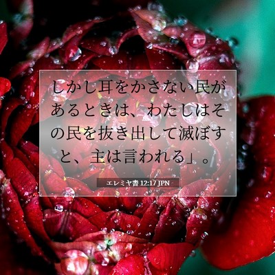 Picture 07 - エレミヤ書 12:17 JPN - しかし耳をかさない民があるときは - Bible Verse Picture