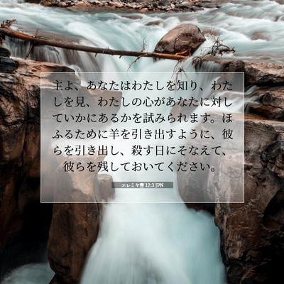 Picture 07 - エレミヤ書 12:3 JPN - 主よ、あなたはわたしを知り、わた - Bible Verse Picture
