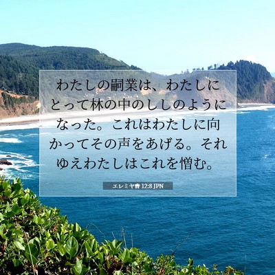 Picture 07 - エレミヤ書 12:8 JPN - わたしの嗣業は、わたしにとって林 - Bible Verse Picture