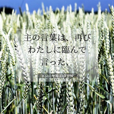 Picture 07 - エレミヤ書 13:3 JPN - 主の言葉は、再びわたしに臨んで言 - Bible Verse Picture