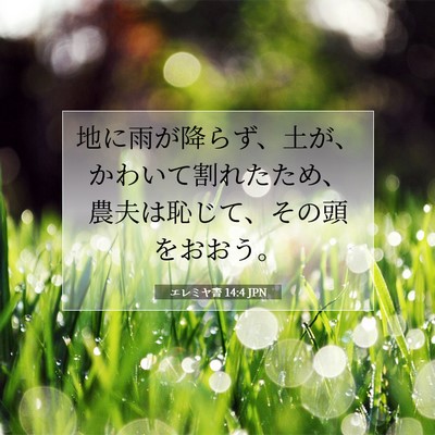 Picture 07 - エレミヤ書 14:4 JPN - 地に雨が降らず、土が、かわいて割 - Bible Verse Picture