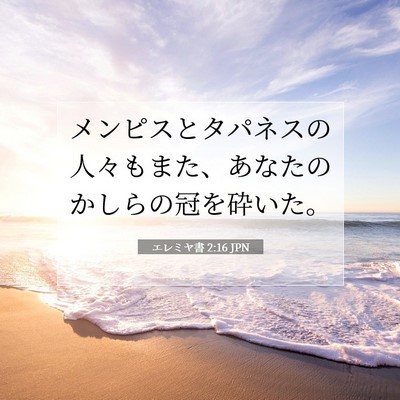 Picture 07 - エレミヤ書 2:16 JPN - メンピスとタパネスの人々もまた、 - Bible Verse Picture
