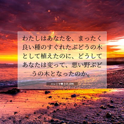 Picture 07 - エレミヤ書 2:21 JPN - わたしはあなたを、まったく良い種 - Bible Verse Picture