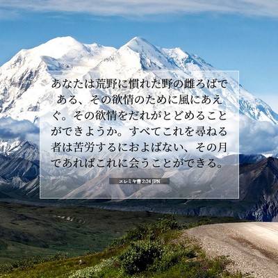 Picture 07 - エレミヤ書 2:24 JPN - あなたは荒野に慣れた野の雌ろばで - Bible Verse Picture