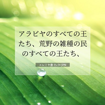 Picture 07 - エレミヤ書 25:24 JPN - アラビヤのすべての王たち、荒野の - Bible Verse Picture